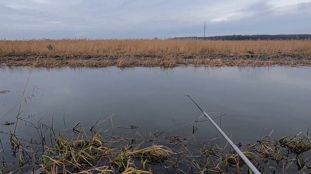 Откуда здесь столько рыбы!... Зимняя СУПЕРРЫБАЛКА на ЭКРАНЫ-ТЕЛЕВИЗОРЫ!!!