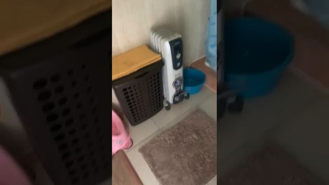 Садовый дом Мшинское.mp4