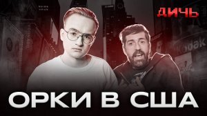ПОКРОВСКИЙ: Россия, Трамп, орки | ДИЧЬ