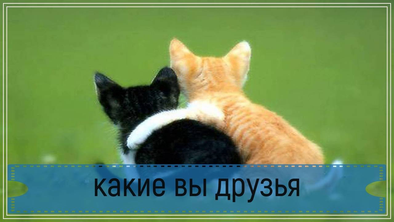 Новый экспресс расклад - какие вы друзья.