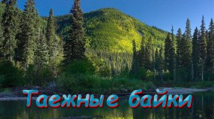 Таежные байки