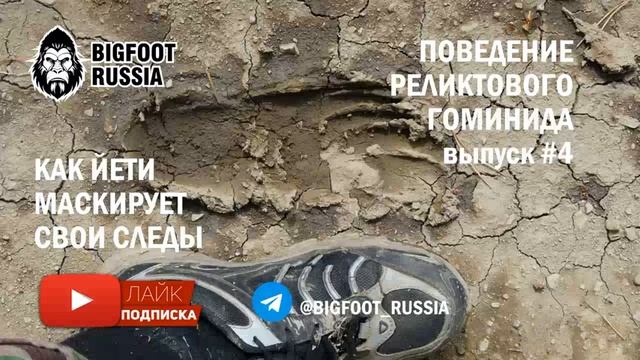 Снежный человек 🔥💯 Шокирующая правда 💣 Модели поведения, выпуск 4. Как йети прячет следы смотреть онлайн