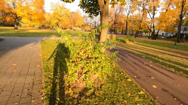 Польша. Польские парки. grodzisk mazowiecki. смотреть онлайн