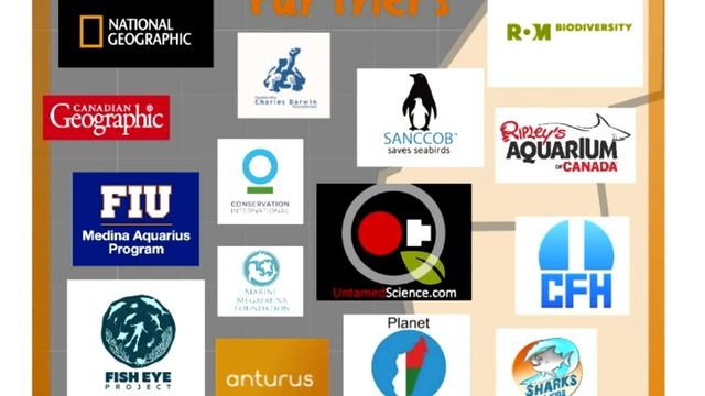 Teaching by the Seat of your Pants смотреть онлайн