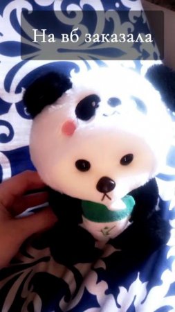 плюшиво пандачка 🐼 👑💕