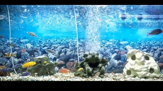 Спокойная музыка для души смотреть онлайн