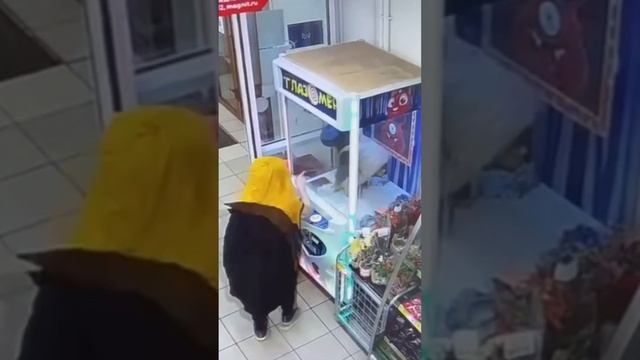 Юный воришка