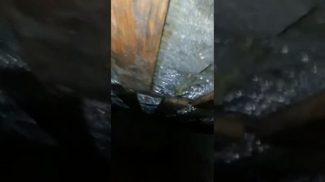 Что бывает с черновым полом!!!#Что с ними бывает при неправильной укладке изоляционных материалов.. смотреть онлайн