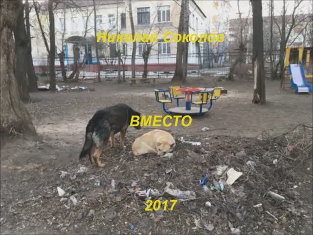 Стихотворение 