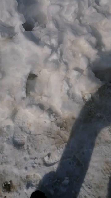 холодный снег улица холодный снег жизнь весна новоевидео