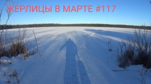 НУ НАКОНЕЦ ТО. РЫБАЛКА НА ЖЕРЛИЦЫ В МАРТЕ #117