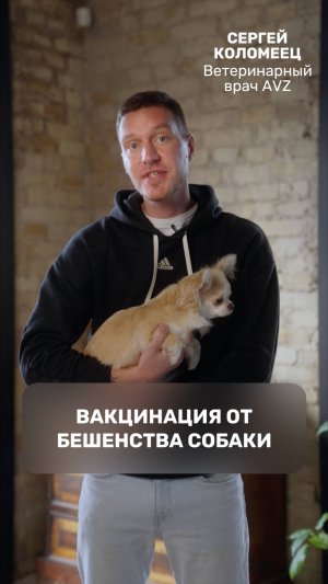 Вакцинация от бешенства собаки