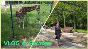 VLOG/на природе/покрасилась/на пункте WB/еду в Ростов🥰/прогулка в зоопарке🦧🐘