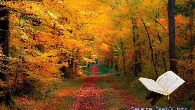 088. Сура Аль-Галия
Прекрасное чтение Корана Чтец: Саадом Аль Гамиди смотреть онлайн