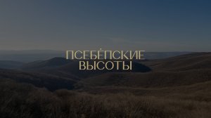 Виноградарский проект "Псебепские высоты"