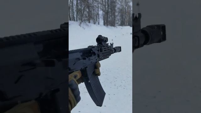 Вепрь 12 или ВПО-205