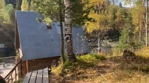Все бросили и уехали в тайгу. Видео из осени для истории