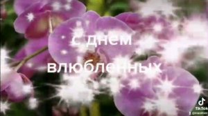 окольцованы любовью