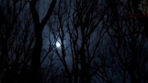 Пост N5. Страшные истории на ночь 🫣🫣🫣