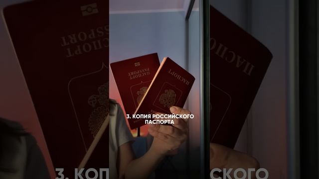 Полный список документов в описании #япония #визавяпонию #путешествия #рилсмейкер