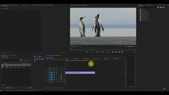How To Cut And Trim Video Clips In Premiere Pro 2022