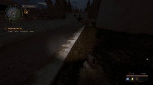 S.T.A.L.K.E.R True Stalker Радиолюбитель Нашелся Светильник  #24