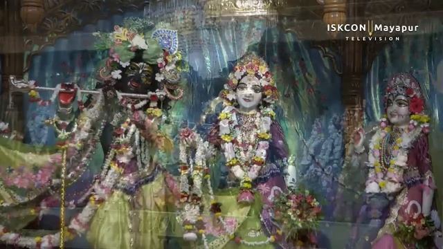 Darshan Arati Sri Dham Mayapur - July 16, 2022 смотреть онлайн