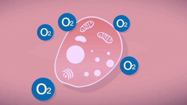 Best Foods for Your Skin: For a Healthy Glow | Herbalife Nutrition смотреть онлайн