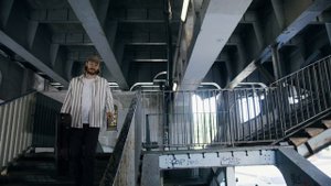 8103748-uhd_4096_2160_25fps