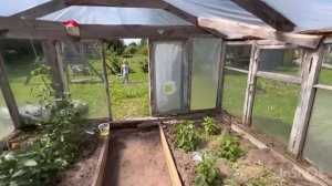 КУПИЛИ ДОМ В ДЕРЕВНЕ ЗА 600 ТЫС. РУБЛЕЙ