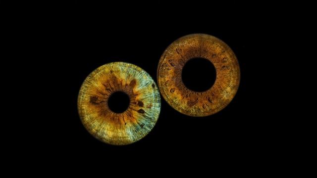 Love Under a Starry Sky смотреть онлайн