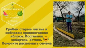 Дачные хлопоты. Какие цветы и растения я обнаружила на клумбах. Молодые дачники. 28 марта 2025