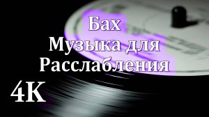 4К Иоганн Себастьян Бах | Вечная Классика для Души и Вдохновения 🎶🎻🎶