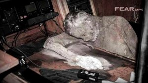 БОНУС ВИДЕО #31 Они обнаружили Яхту призрак #ДЖЕККРАЙМЕР и #FEAR.MP4 (слив с Boosty)