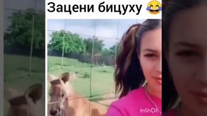 Качок😂😂😂
