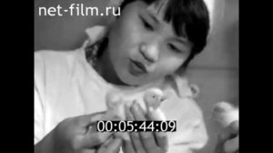 1984г. совхоз Астраханский Астраханская обл