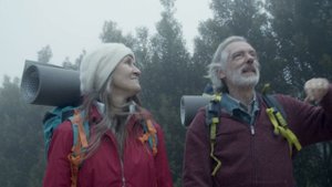 7786243-uhd_3840_2160_25fps
