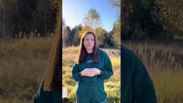 Отзыв о ретрите... смотреть онлайн