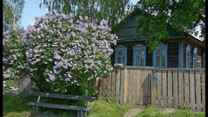 Пенсия (и переезд, посв  всем покинувшим города, проблема внедрения
в местные сообщества есть у всех