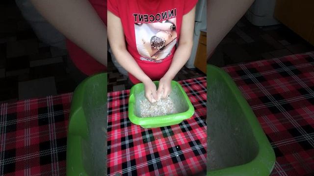 Бесплатный кальций для кур своими руками.