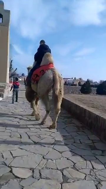 Отпуске смотреть онлайн