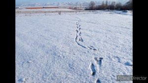 Крымская картина. Январь.