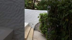 Our beach bungalow at Cinnamon Dhonveli Maldives 🇲🇻