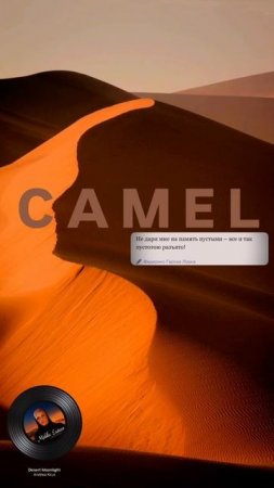 Camel.mp4
