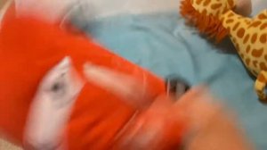 У кенгуру сломалась машина