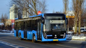 Поездка на автобусе НефАЗ 5299-40-52 по маршруту т60 - 10.02.2024