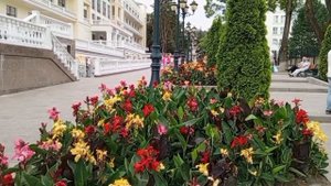 КИСЛОВОДСК.ВОТ ТАКОЙ ПРОСПЕКТ ЛЕНИНА ЛЕТОМ.КРАСОТА👍