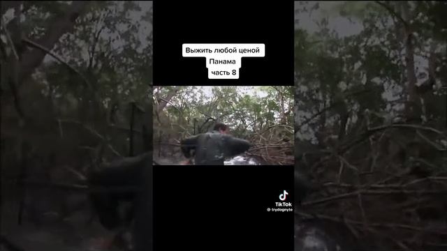 выжить любой ценой