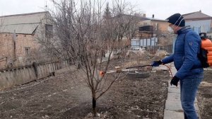 Первая обработка сада