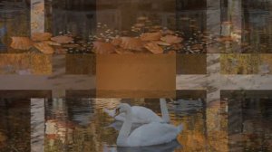 Осенняя мелодия!